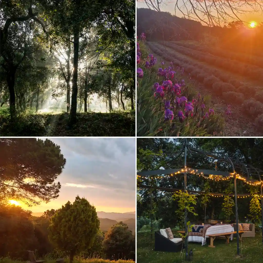 La finca Eco Can Pons Xic